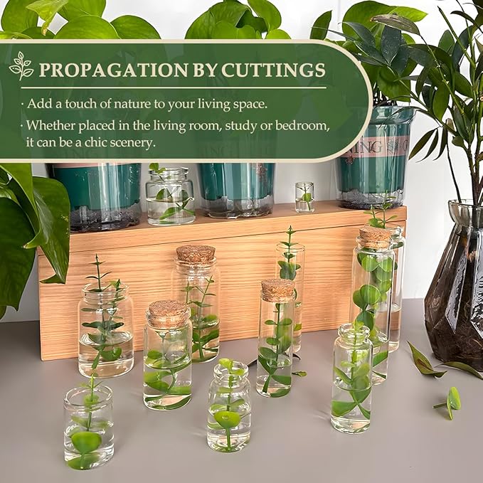 JIUYUE 10 pcs 20 ml Glass Bottles with Cork,Storage Bottles for Liquids(0.67 oz-1.45x1.57 inch)