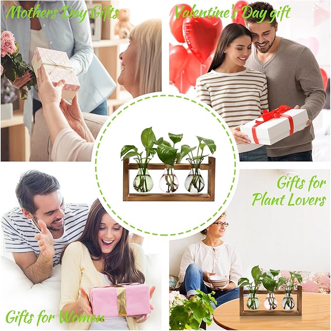 Plant Propagation Station Plant Terrarium Unique Birthday Gifts for Women Home Office Decor Planter with Wooden Stand - 3 Bulb Glass Vase