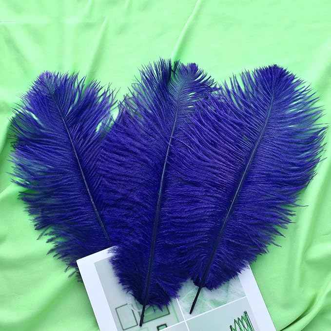 Ballinger Royal Blue Ostrich Feathers - 24Pcs 10-12inch Feathers for Party Centerpieces, Flower Arrangement and Home Decor