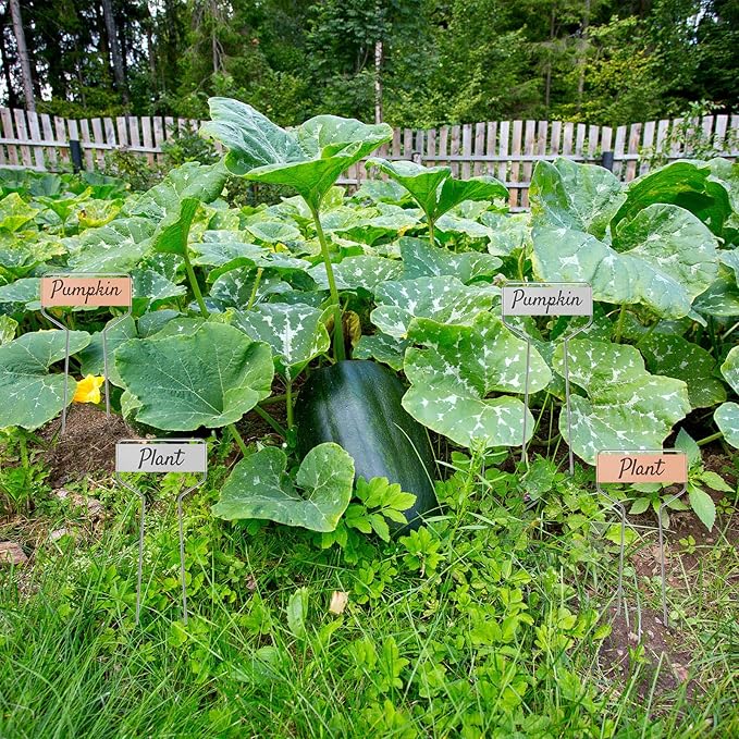 80 Pcs 10" High Plant Labels, Include 40 Copper Metal Plant Tags and 40 Weatherproof Garden Aluminum Markers Bulk with Marker Pen Reusable Seedling Sign Nursery Tag for Outdoor Herb Vegetable Flower