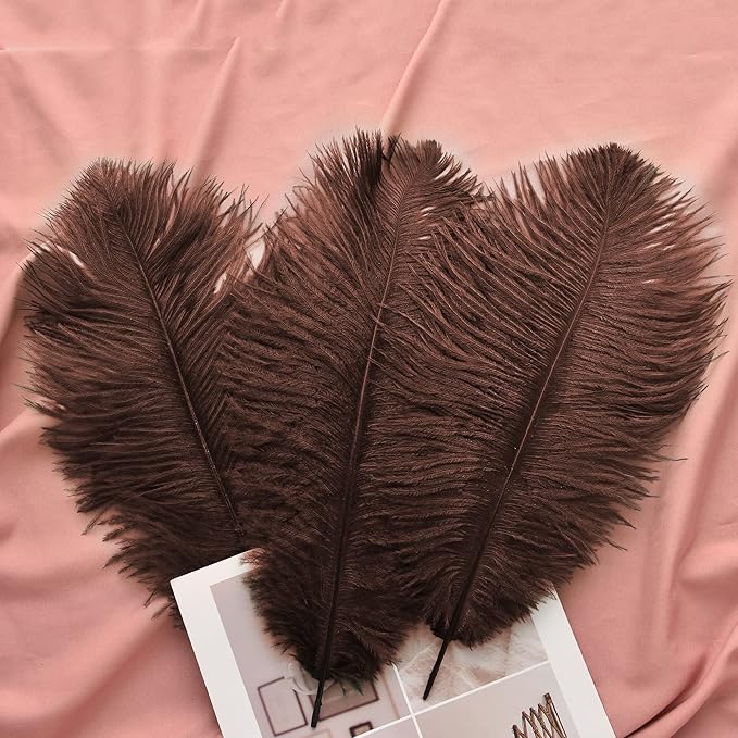 Ballinger Brown Big Ostrich Feathers - 24pcs 12-14inch Large Feathers for Party Centerpieces, Flower Arrangement and Home Decor