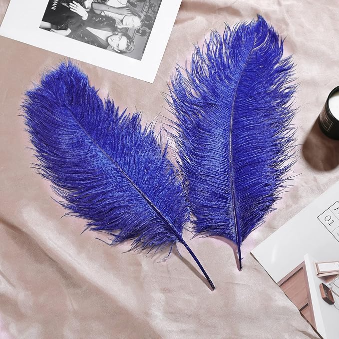Larryhot Royal Blue Big Feathers - 10pcs 16-18 inch Feathers for Vase,Wedding Party Centerpieces and Home Decorations(Royal Blue)