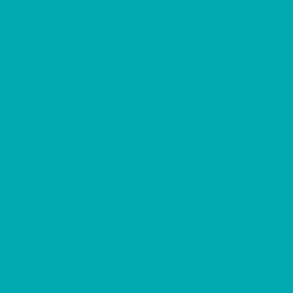 Jillson Roberts 6 Roll-Count All-Occasion Solid Color Gift Wrap Available in 10 Different Assortments, Bold and Bright