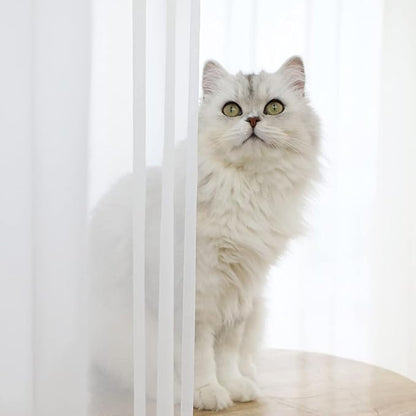 Window White Sheer Curtains 48 Inches Width 84 Inches Long 2 Panels Sheer Curtains Clear Curtains Basic Rod Pocket Panel for Home/Living Room/Bedroom/Kids Room