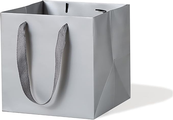 Silver Paper Gift Bags Small Square Bottom Kraft Cardboard Paper Bag With Handles for Baby Shower, Wedding, Birtyday Party (Silver Grey, 6 x 6 x 6 in, 10 Pcs)