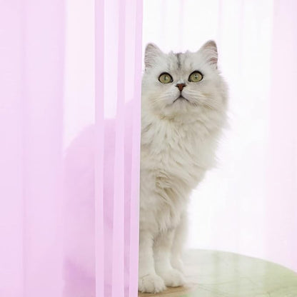 Window Pink Sheer Curtains 48 Inches Width 45 Inches Long 2 Panels Sheer Curtain Clear Curtains Basic Rod Pocket Panel for Home Living Room Bedroom Kids Room Yard Patio Parlor Sliding