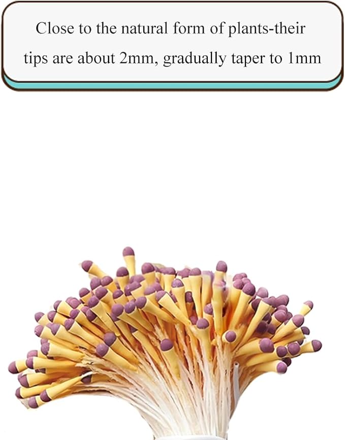 HAHIYO 700Pcs 2mm Yellow and Purple Matte Double Head Flower Stamen Pistil for Flower Making Scrapbook Decoration Handmade Artificial Flowers Pistil Matt-Like Floral Stamens Flowers Pollen Stamen