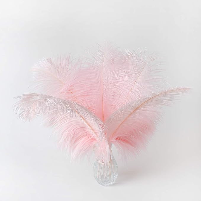 Ballinger Light Pink Ostrich Feathers - 24Pcs 12-14inch Large Feathers for Crafts,Party Centerpieces,Wedding and Home Decor