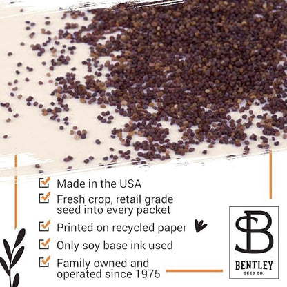 Make Your Heart Flutter 25 Bird and Butterfly Wildflower Seed Packets for Planting, A Beautiful Valentines Day Gift, Bentley Seed Co