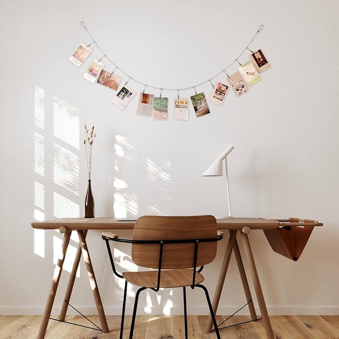 Multi-Purpose Steel Wall Hanging Photo Display Cable Wire Rod String with 12 Clips for Hanging Photos Notes and Artworks (Alligator clip)