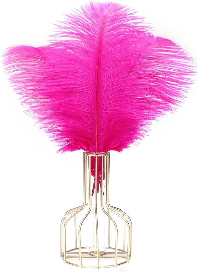 YAKRUNA 30PCS Hot Pink Ostrich Feathers Bulk 12-14 Inches for Centerpieces for Wedding Birthday Gatsby Party, Decorative Plumes for Vase & Table & Christmas Tree Decor (30-35cm, Fuchsia)