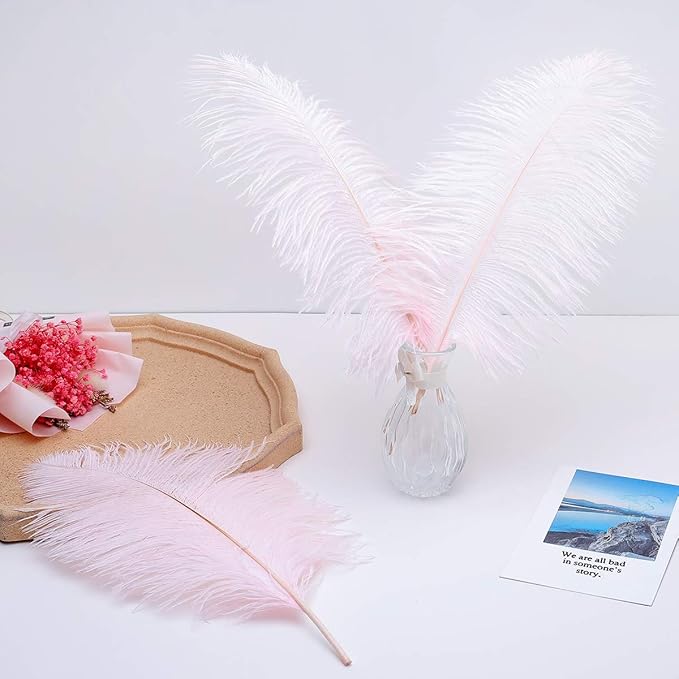 Ballinger Light Pink Ostrich Feathers - 24Pcs 8-10inch Feathers for Crafts,Party Centerpieces,Wedding and Home Decor
