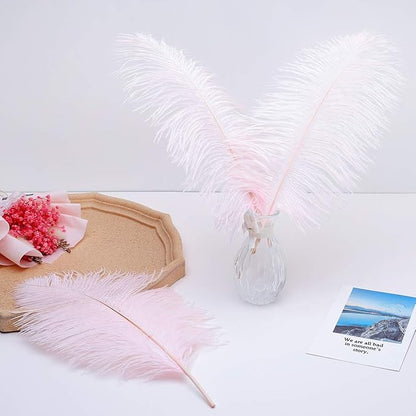 Ballinger Light Pink Ostrich Feathers - 24Pcs 8-10inch Feathers for Crafts,Party Centerpieces,Wedding and Home Decor