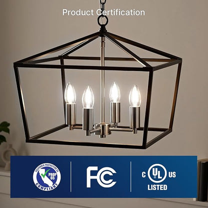 FLSNT 100W Equivalent LED Chandelier Light Bulbs E26 Base, 5000K Daylight Dimmable LED Candelabra Bulbs, 800LM, 12Pack UL,CA65 Listed.