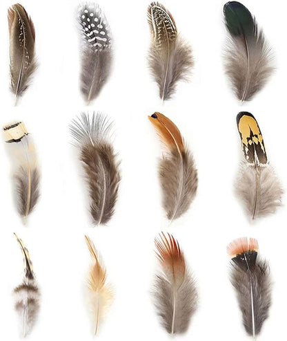 360pcs 12 Styled Natural Feathers Assorted Mixed Feathers for Jewelry and Dream Catcher Crafts