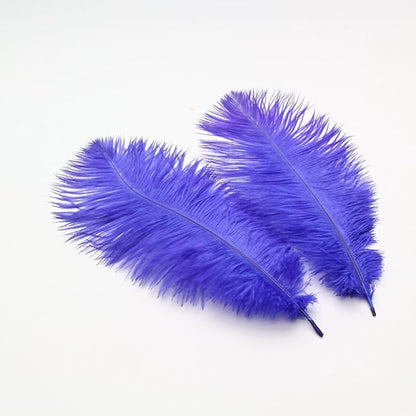 Sowder 16-18inch(40-45cm) Ostrich Feathers Plume for Wedding Centerpieces Home Decoration Pack of 10pcs(Royal Blue)