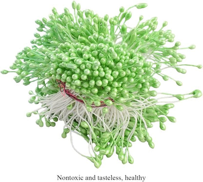 HAHIYO 700Pcs 3mm Light Green Pearl Double Head Flower Stamen Pistil Hand-Made Artificial Flower Pistil para Flore Pearlized Floral Stamen Flower Pollen Stamen for Flower Making Scrapbook Decoration