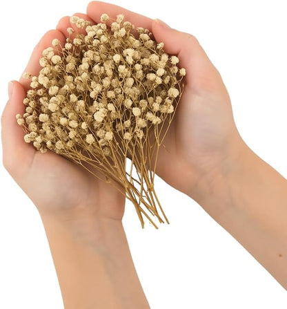 Dried Flower Baby's Breath Biodegradable Confetti - Real Flower Petals for Weddings, Flower Girl Toss, Wedding Send Off Ideas, Party Table Decoration | Boxed - 8oz (0.5lbs)