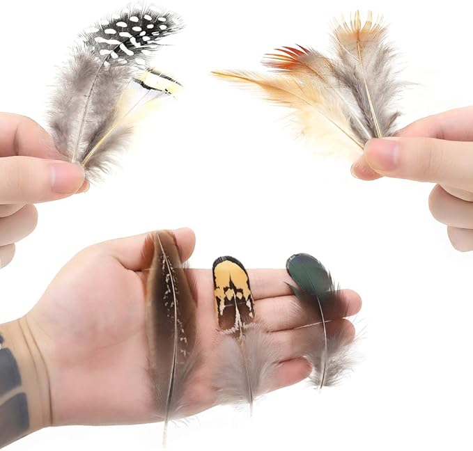 180pcs 9 Styled Natural Feathers Assorted Mixed Feathers for Jewelry and Dream Catcher Crafts
