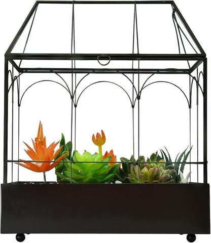 Large Tall Glass Plant Terrarium – House Succulent Terrarium Kit with Lip and Tray Glass Greenhouse Terrarium for Plant 9.5”X5.7”X11.4”