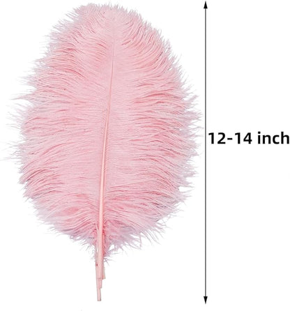Ballinger Lotus Pink Ostrich Feathers - 24Pcs 12-14inch Large Feathers Bulk for Vase,Party Centerpieces,Wedding and Home Decor