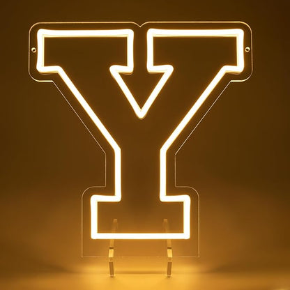 Light Up Letters Y, Led Marquee Letter Lights Neon Sign, 13.9" Height Decorative Lighted Alphabet Number, Battery/USB Powered Led Letters Lights for Wedding, Birthday, Party, Christmas or Home Decor