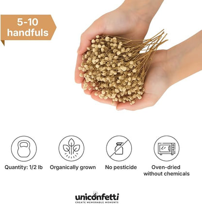 Dried Flower Baby's Breath Biodegradable Confetti - Real Flower Petals for Weddings, Flower Girl Toss, Wedding Send Off Ideas, Party Table Decoration | Boxed - 8oz (0.5lbs)