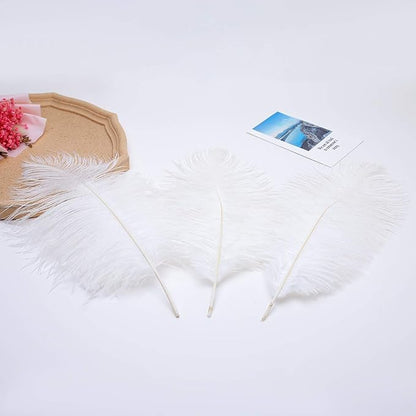 24pcs Natural White Ostrich Feathers 10-12inch (25-30cm) for Wedding Party Centerpieces，Flower Arrangement and Home Decoration.