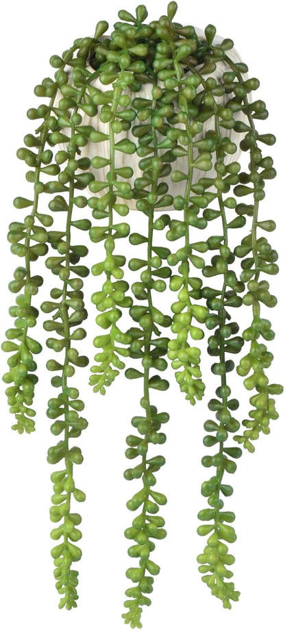 Succulents Plants Artificial, Small String of Pearls with Ceramic Pot Artificial Faux String of Pearls Suitable for Home Garden Decor, Wall Decoration