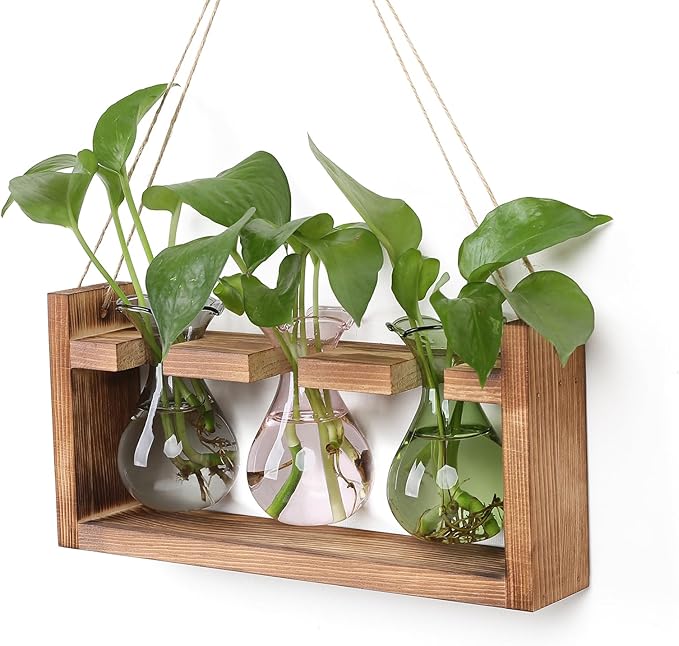 Plant Propagation Station Plant Terrarium Unique Birthday Gifts for Women Home Office Decor Planter with Wooden Stand - 3 Bulb Glass Vase