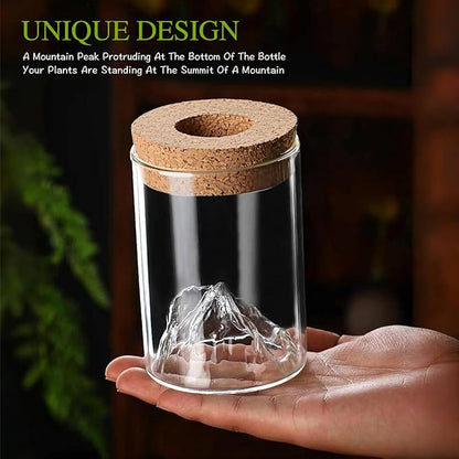 2Pcs Plant Propagation Station with Mountain-Shaped Bottom - Hydroponic Glass Vases, Wooden Base with Lighting, Terrarium Jars for Indoor Growing, Desktop Vivarium, Ideal Gifts for Plant Lovers