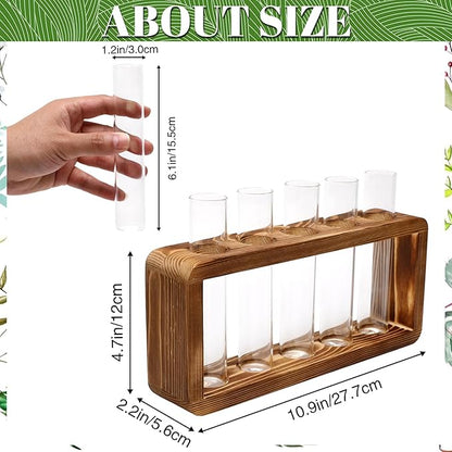 Glass Plant Propagation Station with 5 Test Tubes Colorful Planter Vase Birthday Gifts for Women Mom Plant Lovers with Wooden Stand