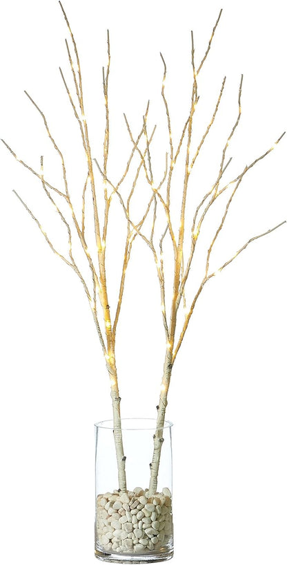 Hairui Lighted Artificial Twig Birch Branch with Fairy Lights 30IN 100 LED Battery Operated, White Willow Branch with Lights for Christmas Holiday Wedding Party Decoration