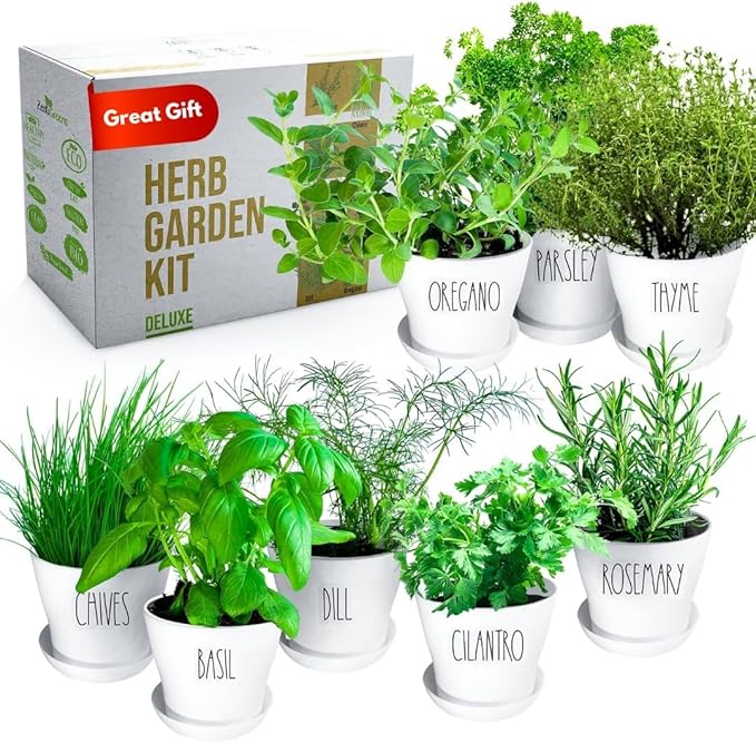 Deluxe Indoor & Outdoor Herb Garden Kit – 8 or The Most Popular Culinary Herbs with Pots & Soil for Windowsill or Patio Growing