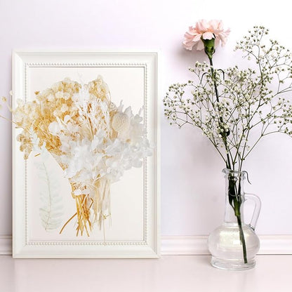 Dried Flowers,Dried Flowers Set for DIY Scrapbook Accessories Flower Arrangements Flower Decoration Wedding Decoration(White)