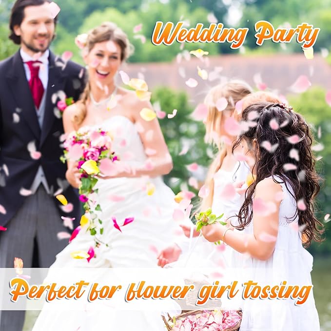 300 PCS Real Pink Dried Rose Petals Confetti for Wedding, 2.82oz Freeze Rose Petals for Romantic Wedding Valentine's Day Proposal Decor, Dinner Table Centerpieces Party