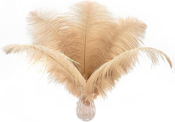 Ballinger Champagne Ostrich Feathers Bulk - 24pcs 10-12inch Boho Feathers for vase and Home Decor Wedding Party Centerpieces