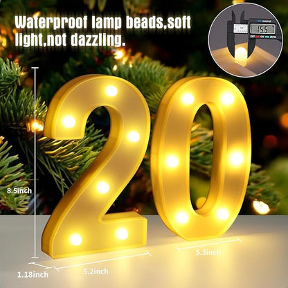 20th Birthday Decorations for Women Men,Happy 20 Year Old Birthday Decorations for Centerpieces Table,20 Light Up Numbers Sign Led for Party Backdrop Wall Decor for Wedding Anniversary Home