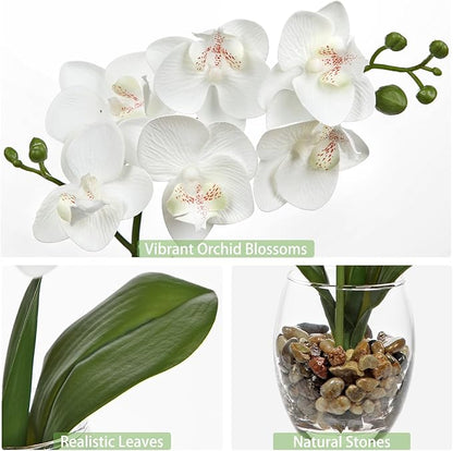 White Orchids Artificial Flowers with Vase, Small Faux Orchid Arrangement Set of 2 Fake Flowers in Glass Vases Small White Centerpieces for Kitchen Dining Room Tables Bathroom Nightstand Shelf Decor