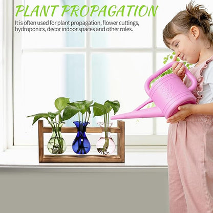 Plant Propagation Station Plant Terrarium Unique Birthday Gifts for Women Home Office Decor Planter with Wooden Stand - 3 Bulb Glass Vase