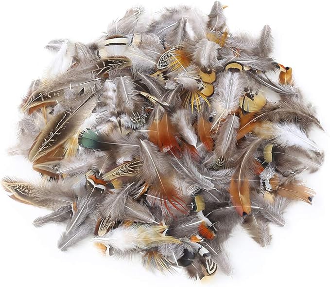 180pcs 9 Styled Natural Feathers Assorted Mixed Feathers for Jewelry and Dream Catcher Crafts