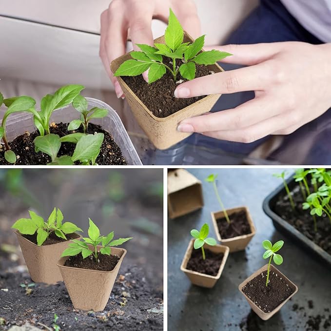 Square Peat Nursery Pots 150 Pcs 3in Biodegradable and Label, Used for Outdoor Gardens in Plant Nurseries