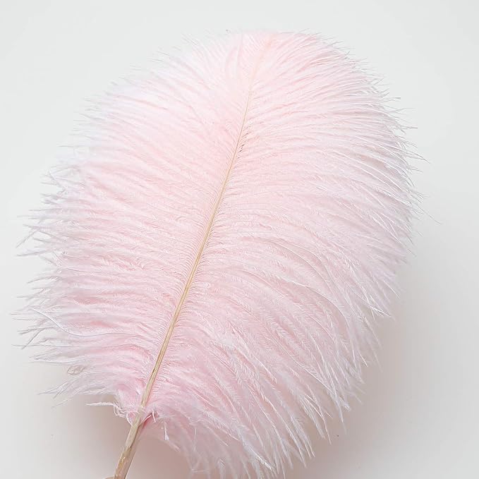 Ballinger Light Pink Ostrich Feathers - 24Pcs 12-14inch Large Feathers for Crafts,Party Centerpieces,Wedding and Home Decor