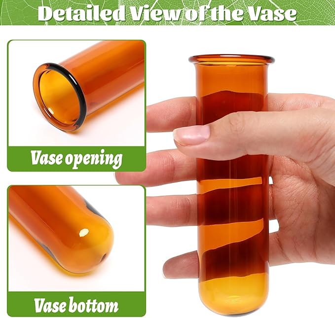Glass Plant Propagation Station with 5 Test Tubes Colorful Planter Vase Birthday Gifts for Women in Wooden Stand