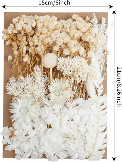Dried Flowers,Dried Flowers Set for DIY Scrapbook Accessories Flower Arrangements Flower Decoration Wedding Decoration(White)
