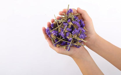 Dried Flower Forget Me Not Biodegradable Confetti - Real Flower Petals for Weddings, Flower Girl Toss, Wedding Send Off Ideas, Party Table Decoration | Boxed - 8oz (0.5lbs)