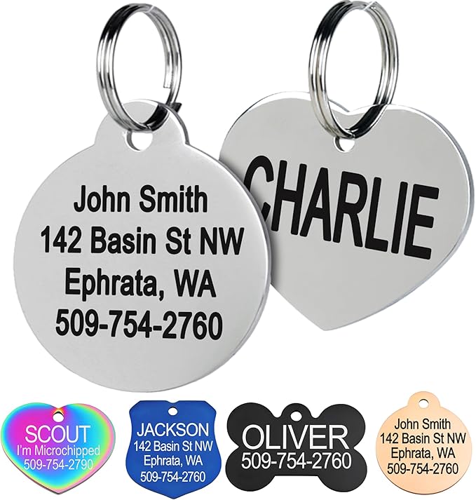 GoTags Stainless Steel Pet ID Tags, Personalized Dog Tags and Cat Tags, up to 8 Lines of Custom Text, Engraved on Both Sides, in Bone, Round, Heart, Bowtie and More (Round, Regular (Pack of 1))