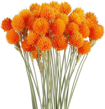 Dried Globe Amaranth Flower with Wheat Straw Natural - 40PCS Bouquet for Vase Home Decor Party DIY Arrangement (Orange)