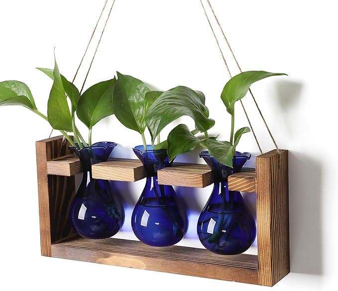 Plant Propagation Station Plant Terrarium Unique Birthday Gifts for Women Home Office Decor Planter with Wooden Stand - 3 Bulb Glass Vase