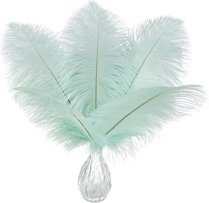 Ballinger Aqua Green Ostrich Feathers - 24pcs 12-14inch Craft Feathers Bulk for Wedding Party Centerpieces Mardi Gras Decorations and Home Decor
